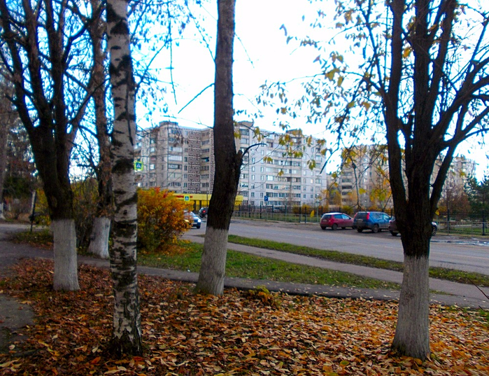 photofacefun_com_1508695957 (700x537, 616Kb)