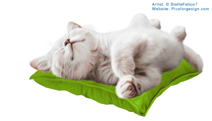 Sleepingkitten11 (700x400, 268Kb)