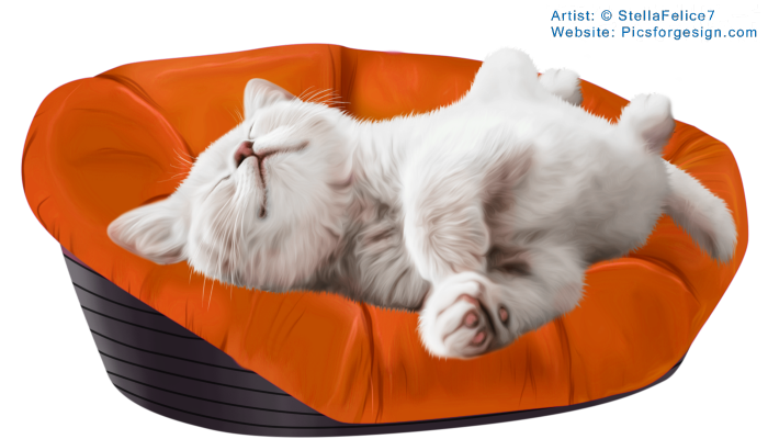 Sleepingkitten13 (700x400, 386Kb)