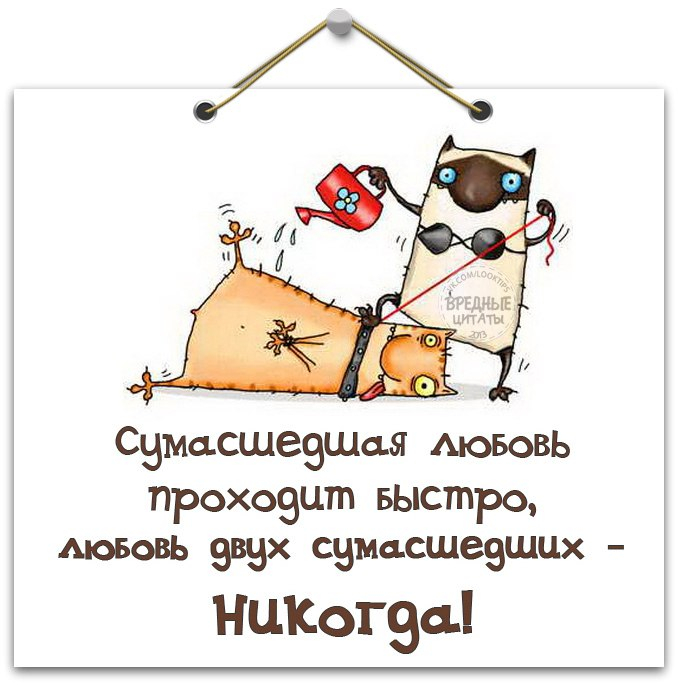 Прикольные фразочки в картинках для мужчин, марта девушке