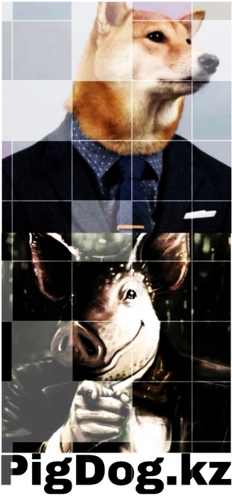 6309789_1508394633708_1_ (327x700, 136Kb)
