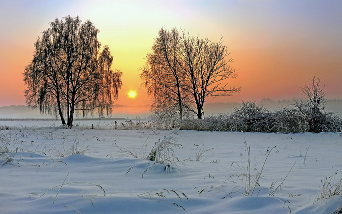 150 (700x437, 333Kb)
