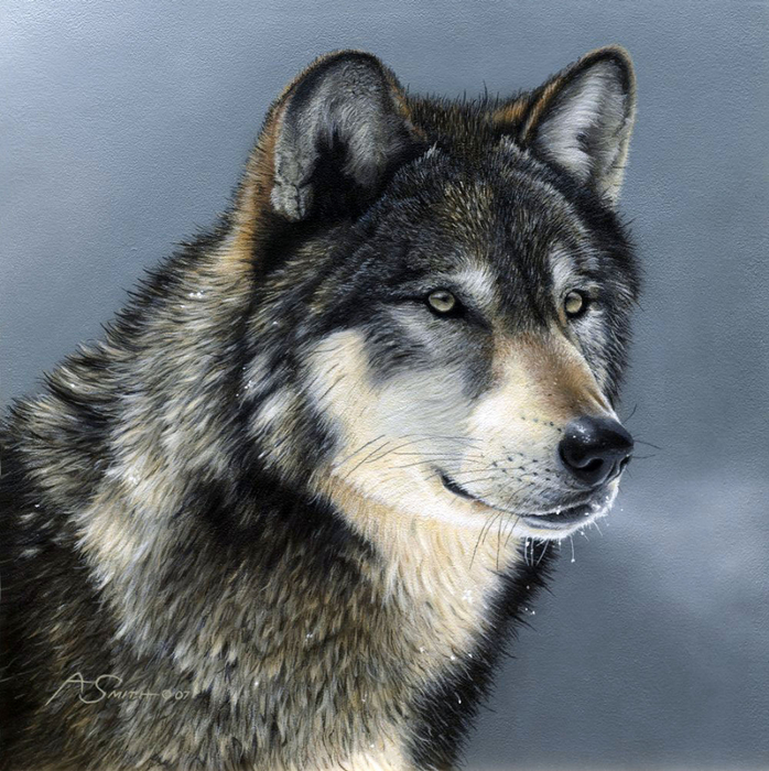 0_135e09_8 jpg (698x700, 483Kb)