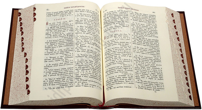 6098670_foto5_bibliya_na_drevneslavyanskom_yazike (700x380, 108Kb)