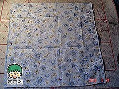 201101-4-5404918473-t (240x180, 59Kb)