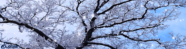2138482_12756925 (600x160, 1778Kb)