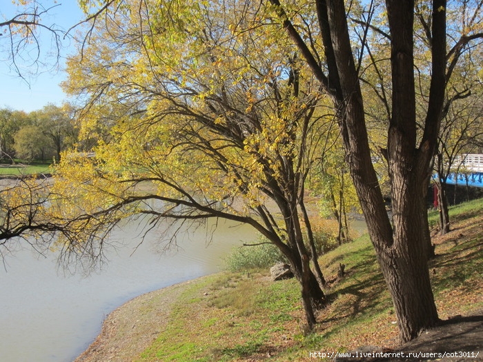 IMG_2775 (700x525, 398Kb)