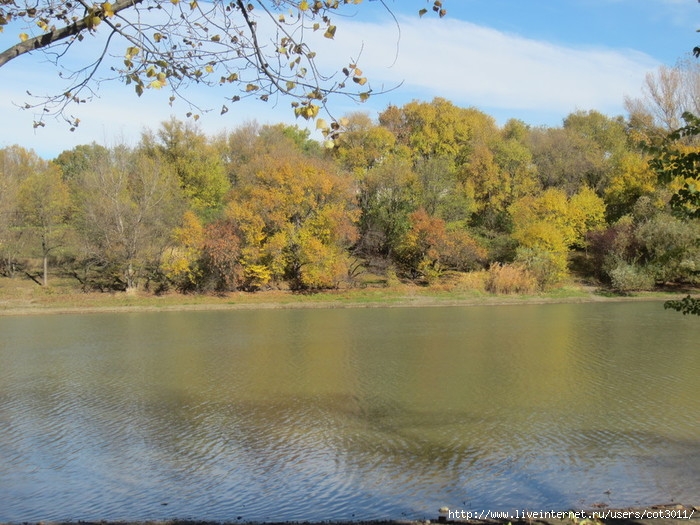 IMG_2783 (700x525, 282Kb)
