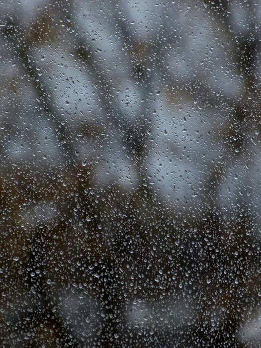 017 (525x700, 169Kb)