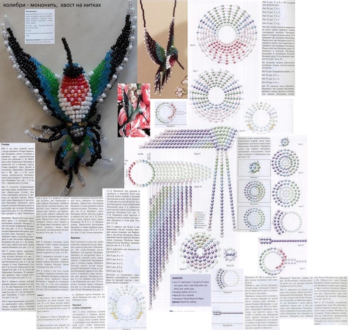 1512544240_kulon_kolibri (700x665, 187Kb)