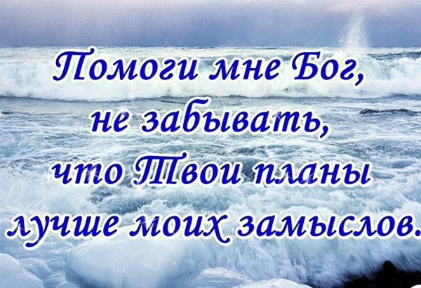 Живя умей все пережить печаль и радость и тревогу схема