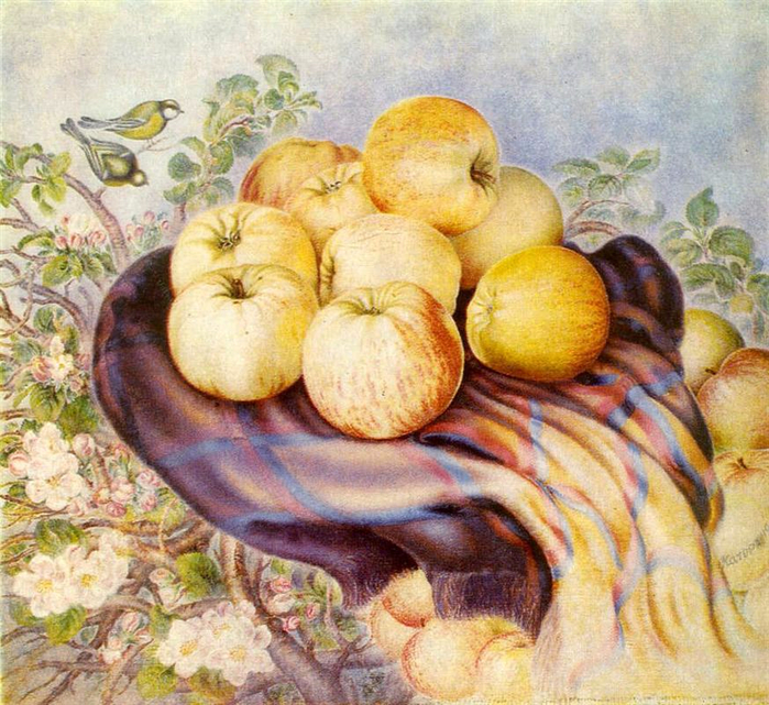 apples-of-bogdanivka-1959.jpg!HalfHD (700x641, 558Kb)