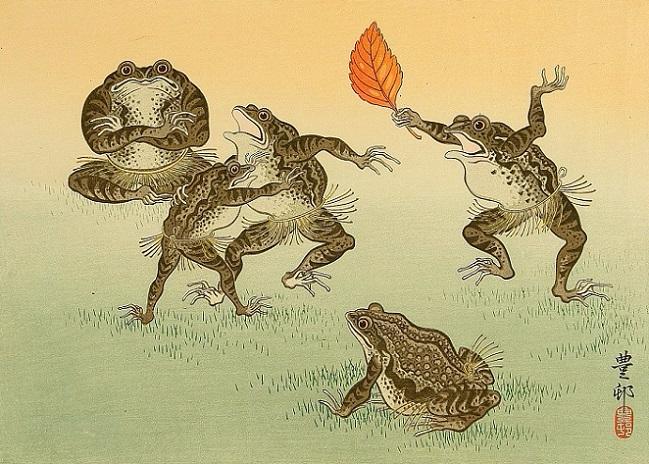 Frog Sumo (649x464, 325Kb)