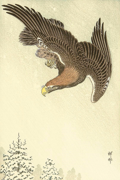Eagle in Flight against a Snowy Sky. (469x700, 374Kb)