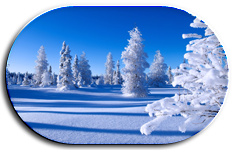  -4 (240x150, 60Kb)