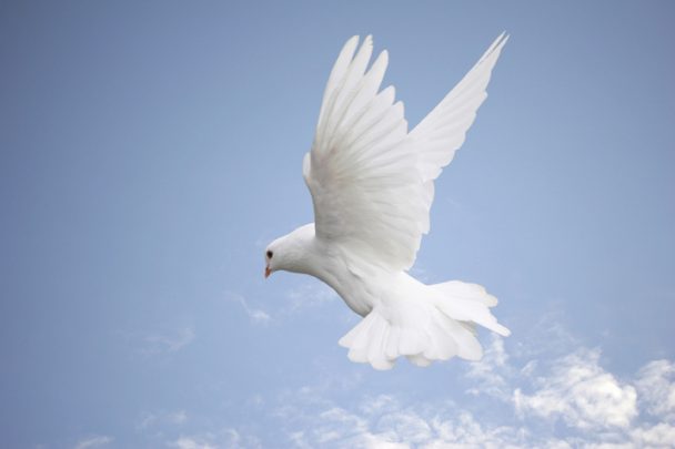 Live-In-Grace-and-Peace-608x405 (608x405, 16Kb)