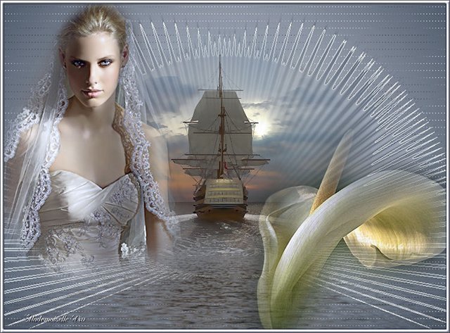6098670_foto2_Morskaya_Jrica (640x473, 81Kb)