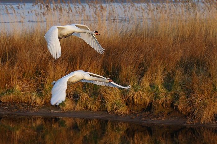 Вижу вас злачные нивы. 139143322 beautiful autumn photos 07. Вижу вас злачные нивы фото. Вижу вас злачные нивы-139143322 beautiful autumn photos 07. картинка Вижу вас злачные нивы. картинка 139143322 beautiful autumn photos 07. Призываем всех принять участие в этой акции и поставить свою подпись ПЕТИЦИЯ
