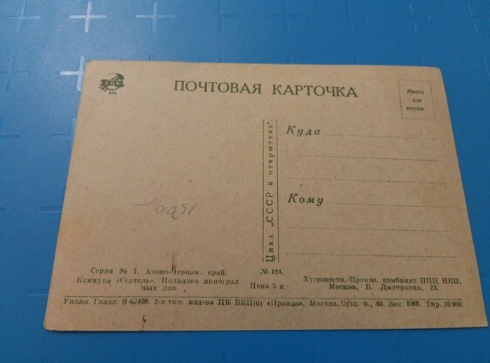 Коммуна. Подвязка винограда2 (700x519, 264Kb)