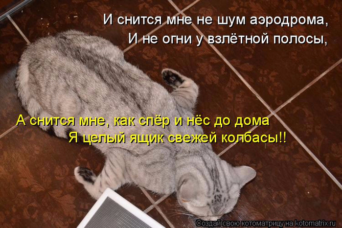 138874759_kotomatritsa_C__1_ (699x466, 406Kb)