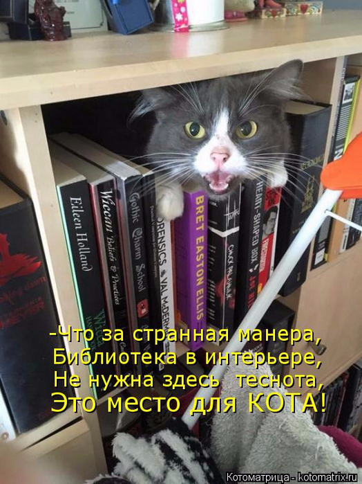 138874764_kotomatritsa_l__1_ (524x699, 437Kb)