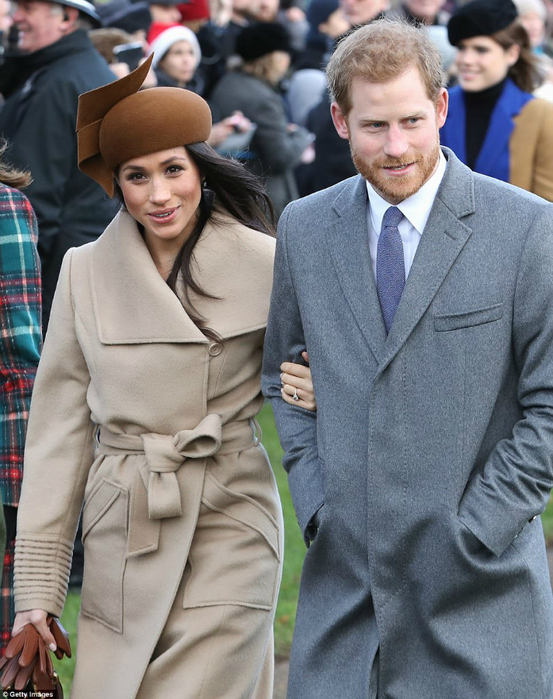 4791397C00000578-5211253-Meghan_seemed_at_ease_as_she_smiled_and_chatted_with_Prince_Harr-m-174_1514206145986 (553x700, 410Kb)