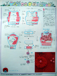  001cZpElzy7gk8YpeN210&690 (525x700, 341Kb)