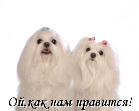   0_31f13_c4c82f5e_L (450x360, 152Kb)