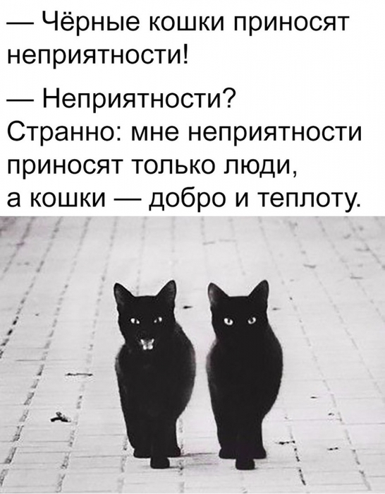 2754954_qFkA8Rz3ZTk (546x700, 170Kb)