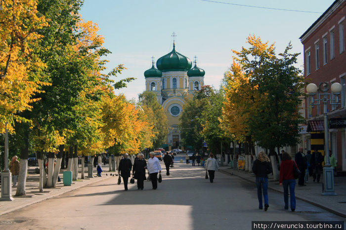 Павловский кафедральный собор Гатчина