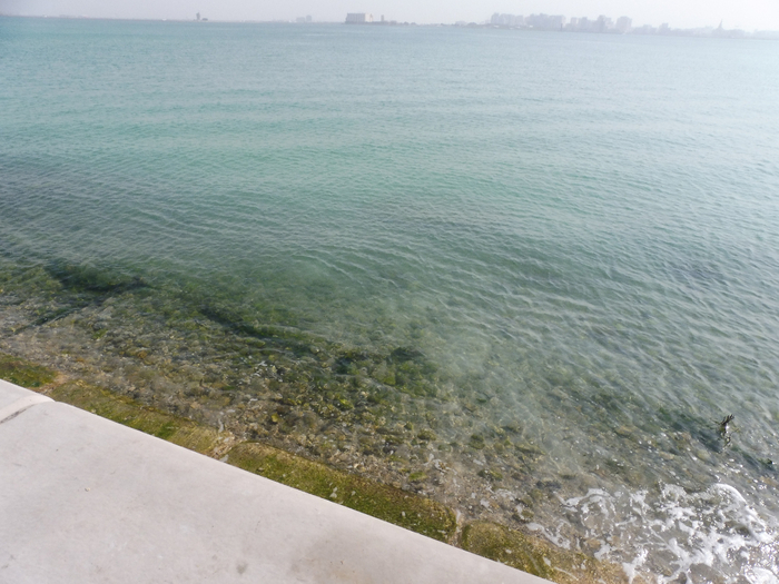P1030814 (700x525, 389Kb)