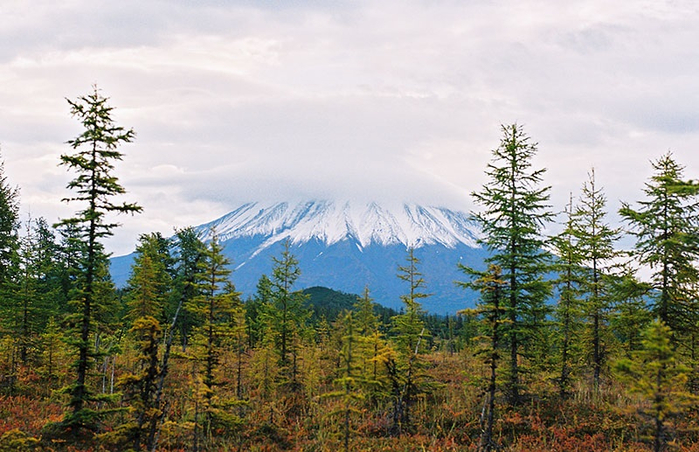 Кроноцкий заповедник камчатка фото