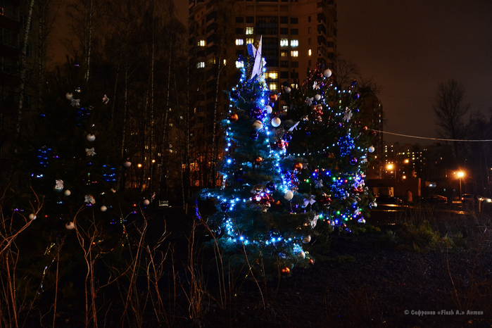 DSC_9173_pt копия (700x466, 429Kb)