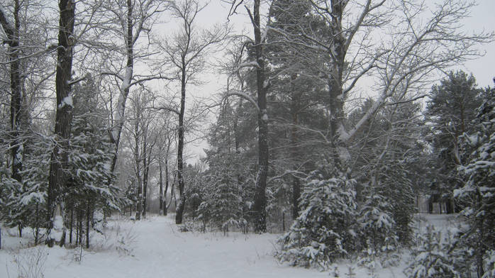 IMG_2682 (700x392, 430Kb)