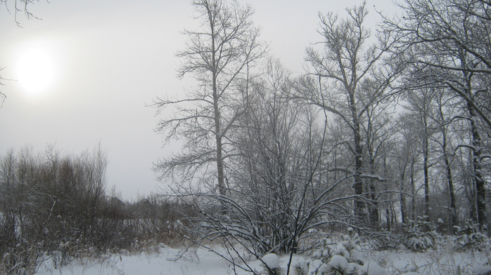 IMG_2696 (700x392, 378Kb)