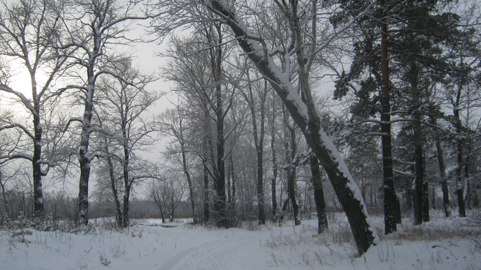 IMG_2706 (700x392, 423Kb)