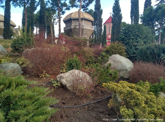 IMG_20180119_170358_HDR (700x518, 421Kb)