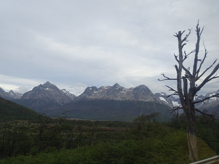 DSC03904 (700x525, 293Kb)