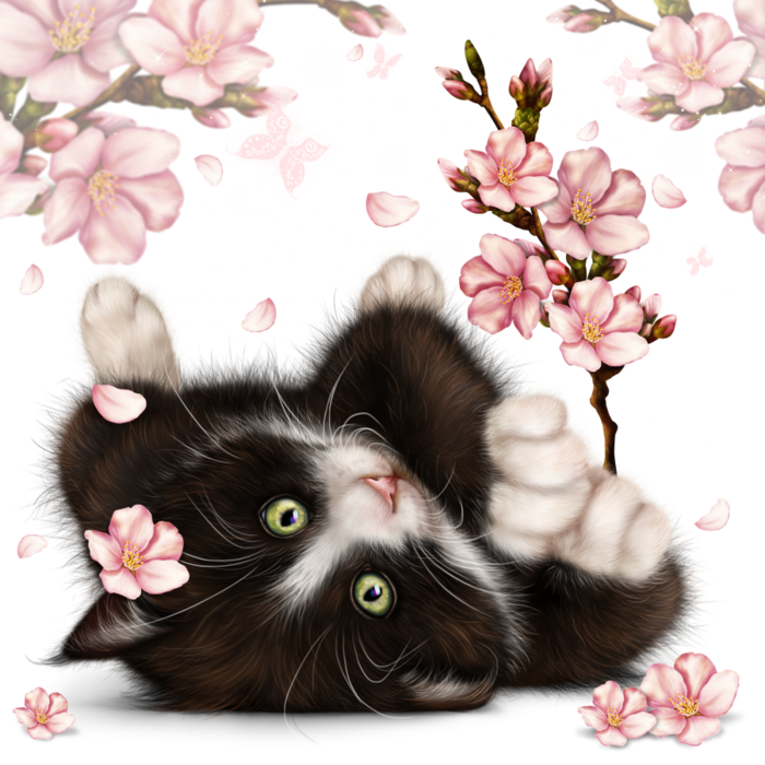 6314590_kitty_in_blossom4 (700x700, 701Kb)