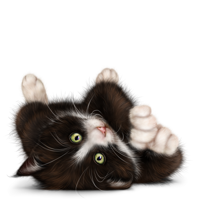 6314590_kitty_in_blossom8 (700x700, 377Kb)