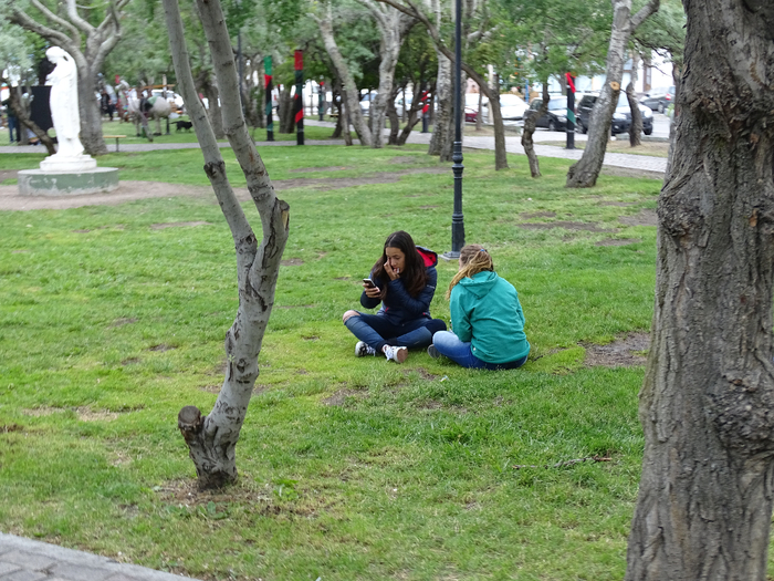 DSC04176 (700x525, 494Kb)