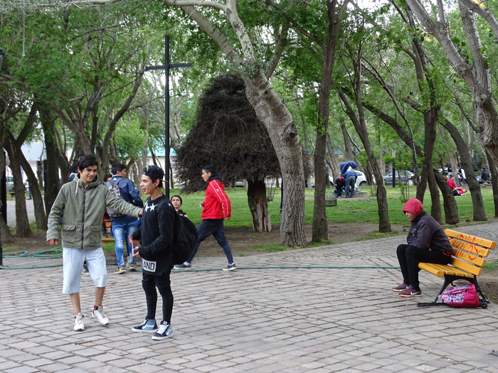 DSC04184 (700x525, 518Kb)