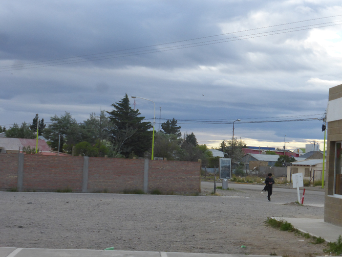 P1320750 (700x525, 348Kb)