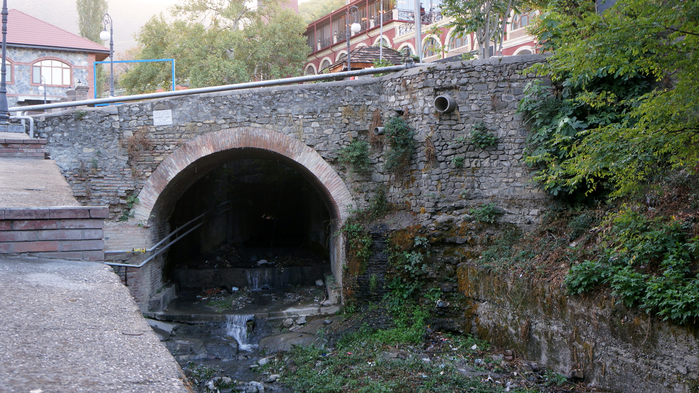 DSC00801 (700x393, 460Kb)