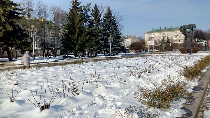 1517064690800 (700x393, 82Kb)