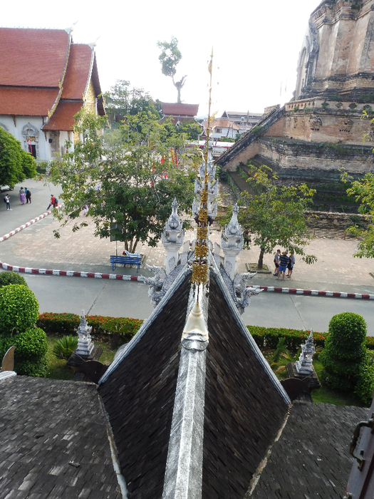 P1030991 (525x700, 471Kb)