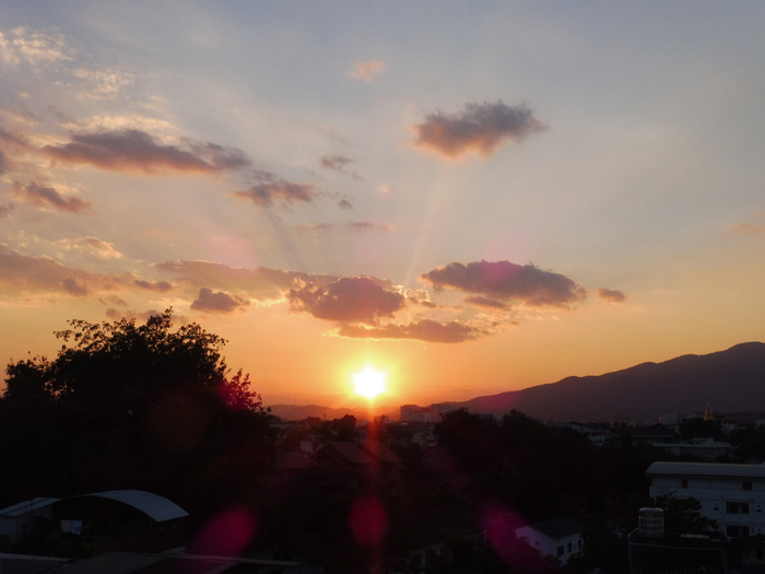 P1040084 (700x525, 287Kb)