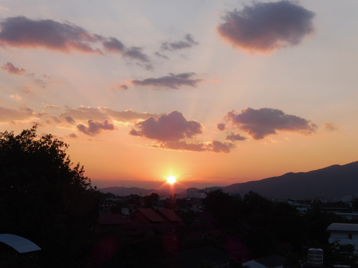 P1040092 (700x525, 276Kb)