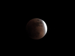  DSCN9046 (700x525, 69Kb)
