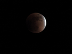  DSCN9050 (700x525, 86Kb)